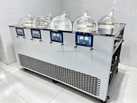 Mvckyi 8*5.5L Cilinder Gelatomachine met overnachtingsfunctie, continue roermachine, batchvriezer, harde ijsmachine