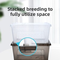 Boîte d'élevage pour reptiles, incubateur, terrarium en plastique, conteneur ventilé, enclos pour petits animaux, boîte pour éclosion, personnalisable