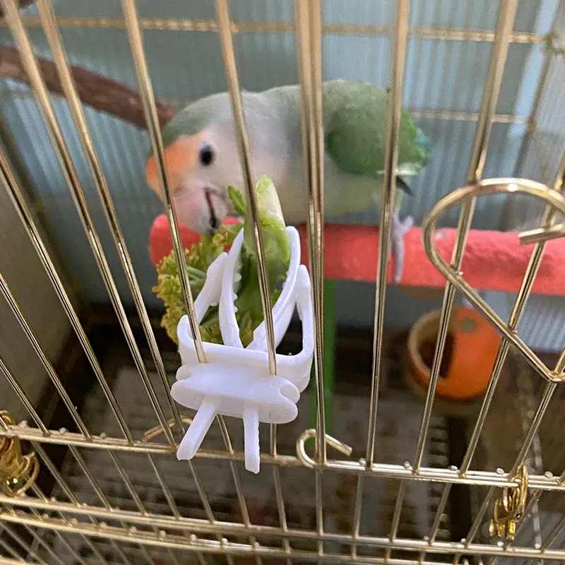 Pequeno Pet Bird Food Holder Papagaio Frutas Legumes Clipe Choco Osso Alimentador Dispositivo Braçadeira Bird Cage Acessórios Oiseaux