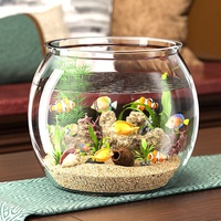 Aquarium de salon écologique pour petits poissons d'eau douce, tortues et poissons rouges, transparent, pour bureau et maison, hydroponique, sélectionné avec soin