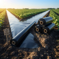 Film de paillage agricole compostable robuste en PBAT PLA noir pour le contrôle des mauvaises herbes et l'humidification du sol dans les champs agricoles