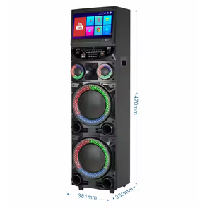 Loa DJ kép 12 inch mới nhất, loa trầm công suất lớn TWS với micro không dây kép IFeiGift GD-1415 - Product Image 6