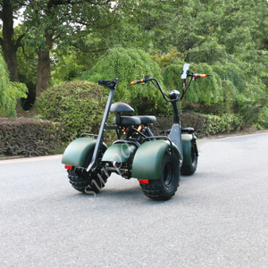 1000w 2000w 60v12ah/ 20ah Removable Battery Fat Tire <b>Scooter</b> 3 Wheeler with Golf Bag Phone Holder - Product Image 1