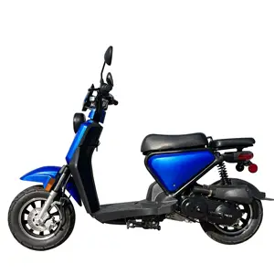 Горячая Распродажа приведенный в действие газом самокат с большим радиусом 2 сиденья 50cc взрослых газа touring скутер с дисковым тормозом