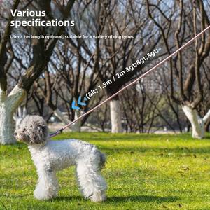 OEM/ODM Correa de nailon resistente Cuerda reflectante Multifunción Entrenamiento de mascotas Seguimiento Slip Lead <span class=keywords><strong>Dog</strong></span> Leash <span class=keywords><strong>Dog</strong></span> <span class=keywords><strong>Collar</strong></span> Set - Product Image 3