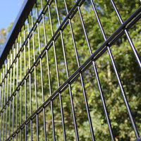 Valla de Alambre Doble Soldada y Galvanizada en Caliente con Recubrimiento Verde para Escuelas