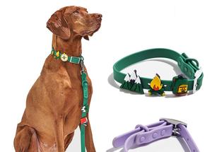 Hot Sale Großhandel Modedesign Wasserdichte verstellbare PVC Haustier Hunde halsbänder mit DIY Charms - Product Image 6