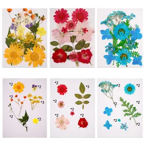 Wholesale Customized Good Quality Diy Butterfly And Flower Sticker Transparent Epoxy Stickers Set