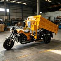 Tricycle Moto Cargo Commercial à Faible Coût d'Usine, Facile à Réparer pour Routes Urbaines et Rurales Ghana Congo