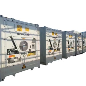 Conteneur frigorifique Thermo King 20 pieds en acier résistant aux intempéries, équipement de stockage de marchandises assemblé - Product Image 1