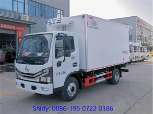 Caja de congelador de transmisión Manual diésel de 5 toneladas, contenedor de camión, furgoneta refrigeradora Thermo King - Product Image 6