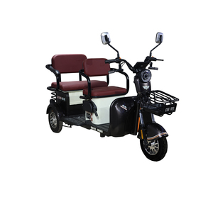 Venta al por mayor de rickshaws eléctricos de alto margen para distribuidores: Triciclo eléctrico para adultos para concesionarios - Product Image 2