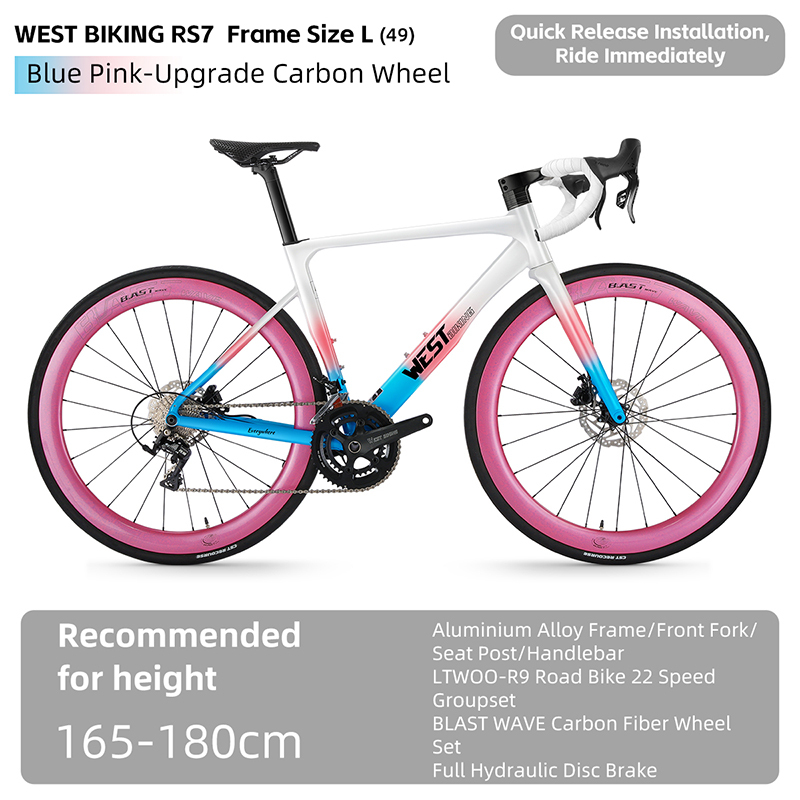 Roue bleu rose-carbone-L