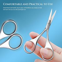 Ciseaux de beauté professionnels en acier inoxydable, à pointe ronde et pointe fine, pour la coupe des sourcils, des poils du nez et de la barbe