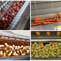 Rolborstelwasser voor fruit, groenten, kokosnoot, maïs, automatische suikerriet schil- en reinigingsmachine