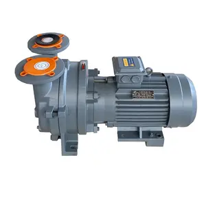 2BV5161 vacuum pump Factory direct vacuum pump 500m3/h cast iron stainless steel water ring