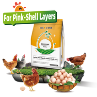 Prémélange d'aliments pour volailles, booster de santé pour les poules pondeuses, mélange de production d'œufs avec des acides aminés de qualité alimentaire
