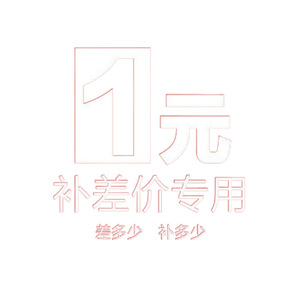 ส่วนต่างราคา 1 หยวน สำหรับค่าจัดส่งและภาษี ใบแจ้งหนี้สำหรับการสั่งซื้อเดี่ยวและหลายรายการ - Product Image 2