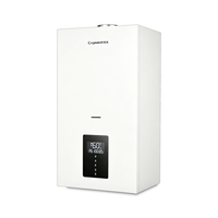 Chaudière murale à gaz standard UE en gros, faible NOx, silencieuse, protection contre la surchauffe, eau chaude instantanée pour chauffage central domestique