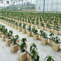 Système de culture aéroponique dwc pour la plantation intérieure à domicile Système de culture hydroponique complet pour jardin de tomates Seau hollandais