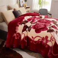 Vente en gros Couverture raschel grande taille style coréen en peluche velours polaire pour l'hiver en polyester tricoté