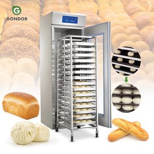 Armoire de fermentation électrique professionnelle pour boulangerie, capacité 36 L, pour <span class=keywords><strong>levain</strong></span>, pâtes et <span class=keywords><strong>pain</strong></span> - Product Image 1