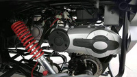 Go Kart Eléctrico Personalizado KX400E, Go Kart de 2 Plazas con Transmisión por Eje y Certificado CE