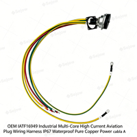 Câble d'alimentation industriel OEM IATF16949 multi-cœurs à courant élevé, faisceau de câblage aviation étanche IP67 en cuivre pur