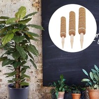 Tuteur flexible en fibre de coco écologique pour plantes grimpantes, support pour tomates, poteau en mousse pliable pour Monstera domestique