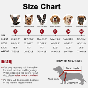 Dog Cooling Vest Adjustable Buckle Breathable Jacket for <b>Small</b> Large Dogs Summer Outdoor Walking Training Pet <b>Chest</b> Cooling Vest - Product Image 3