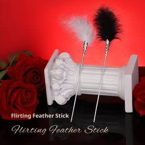 Accesorios de plumas para coquetear, para juegos interactivos entre parejas, que evocan puro deseo, incluye horquillas metálicas y varitas de plumas blancas - Product Image 1