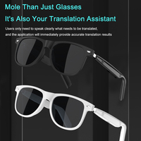 Lunettes de soleil intelligentes SG-23 Pro avec traduction instantanée IA, contrôle tactile, prise en charge de la traduction des appels vidéo, de la traduction des photos, etc.