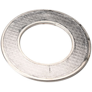 gaskets manufacturer for 304 316 metallic reinforcement graphite gasket