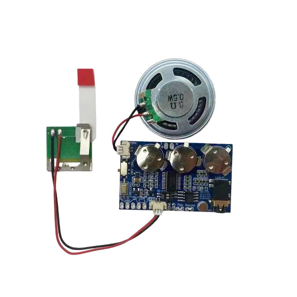 Direct Factory Supply MP3 Music Sound Module with Real-Time Recording IC PCB Speaker for Greeting Cards and Gifts