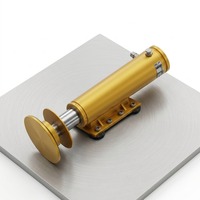 Cylindre hydraulique robuste pour système de stabilisation de grue mobile