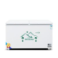 Congélateur Vitrine Commercial de Grande Capacité 1000 L à Double Porte pour Crèmes Glacées et Surgelés, Idéal Supermarché et Épicerie