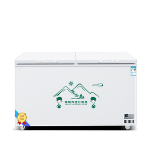 Congélateur Vitrine Commercial de Grande Capacité 1000 L à Double Porte pour Crèmes Glacées et Surgelés, Idéal Supermarché et Épicerie - Product Image 4