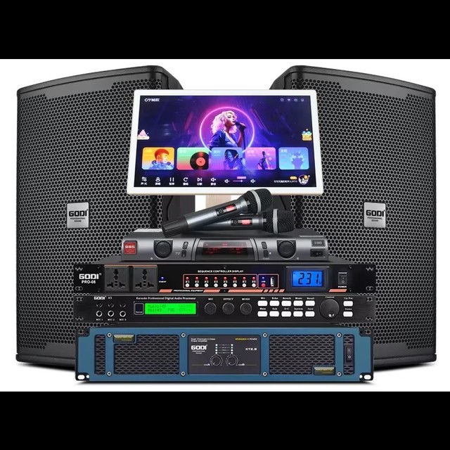 KYYSLB Professional Amplifier Bar KTV Audio Set Single 10-inch Family Karaoke Hi Room Stage Speakers Jukebox Full Set
