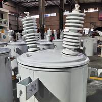 Transformadores de Media y Alta Tensión Resistentes a la Intemperie 11kV/10kV 60Hz 5kVA 10kVA 25kVA Monofásicos, Sumergidos en Aceite, para Montaje en Poste