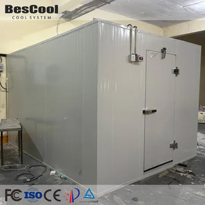 Contenedor Refrigerado con Dimensiones Personalizables, -25~+10C, Control Automático, Refrigerante R404a, 1 Puerta, 380/400VAC, Personalizado - Product Image 2