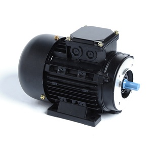 Motor de Inducción Asíncrono Trifásico de Baja Eficiencia Serie IE1, Potencia 0.06kw, Estándar IEC - Product Image 3