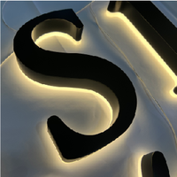 Enseigne LED personnalisée, publicité rétroéclairée, logo de bureau en métal doré, lettres d'enseigne, enseigne LED intérieure et extérieure, enseigne murale 3D LED