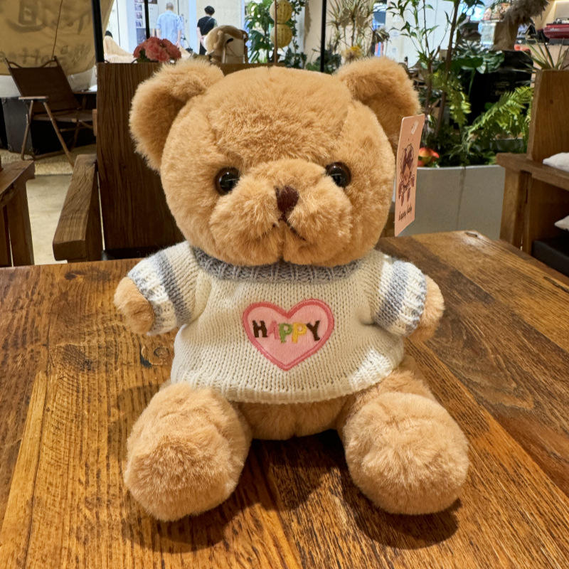 5-brown bear + blue sweater