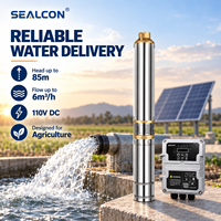 Pompe à eau solaire submersible DC 3 pouces 85m 110V 6m³/h 1.5hp avec protection contre le fonctionnement à sec pour l'agriculture