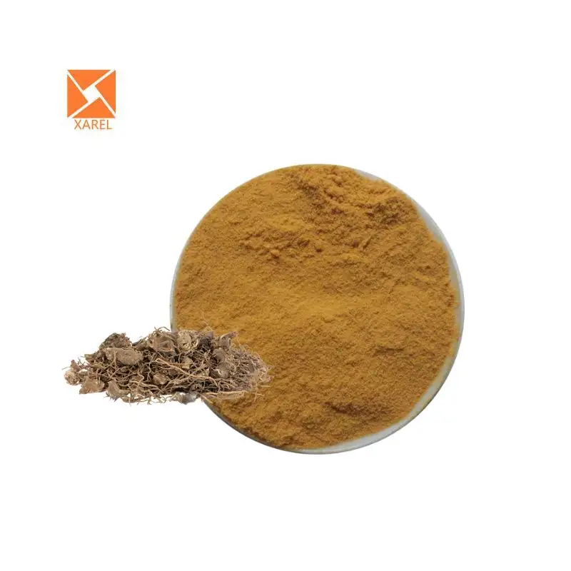 Natural Black cohosh extract powder Cimicifuga racemosa extract 2.5% triterpene glycosides