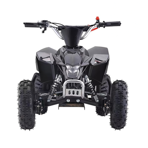 Quad ATV a Benzina 49cc con Avviamento Elettrico, 2 Tempi, ABS, Acciaio Inox, Certificato CE per Bambini, Vendita Calda dalla Fabbrica Cinese - Product Image 4