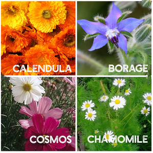 Assortiment de 6 pots de fleurs carrés et de jardinières de base pour le sol de jardin à la maison pour les fleurs artificielles et les jardinières <span class=keywords><strong>en</strong></span> <span class=keywords><strong>pot</strong></span> - Product Image 4