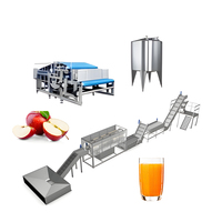 Halfautomatische productielijn voor het mengen en afvullen van biologisch appelsappoeder