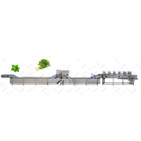 Automatische Drakenfruit Productielijn Met Wasdroogschilfuncties Voor Plantaardige Aardappel Zoete Aardappel Verpakkingsdata