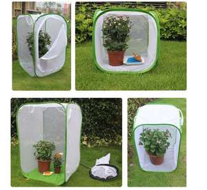 Cage de habitat pour insectes et papillons, terrarium pop-up portable de forme carrée en plastique pour le contrôle des coléoptères, plus facile à nettoyer - Product Image 4